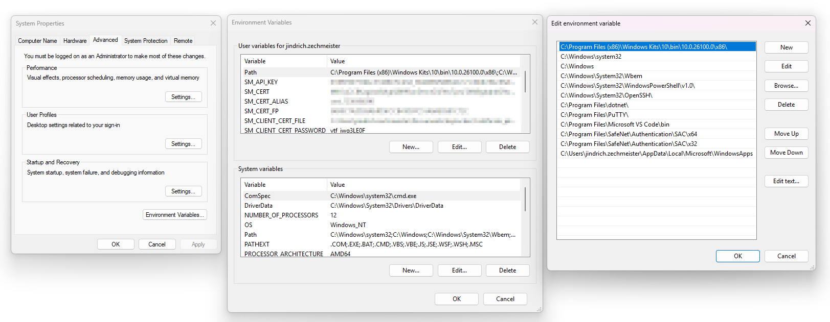 通过Windows GUI添加变量