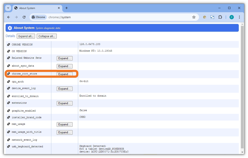 chrome-root-store-in-browser-shadow-1024x654.png
